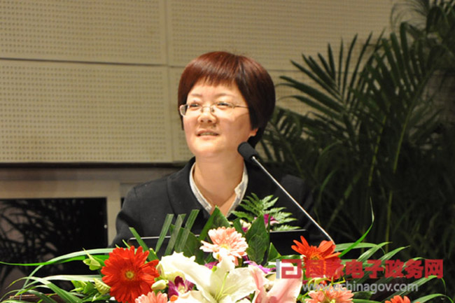 郑爱军：“政府网站+”的认识与实践